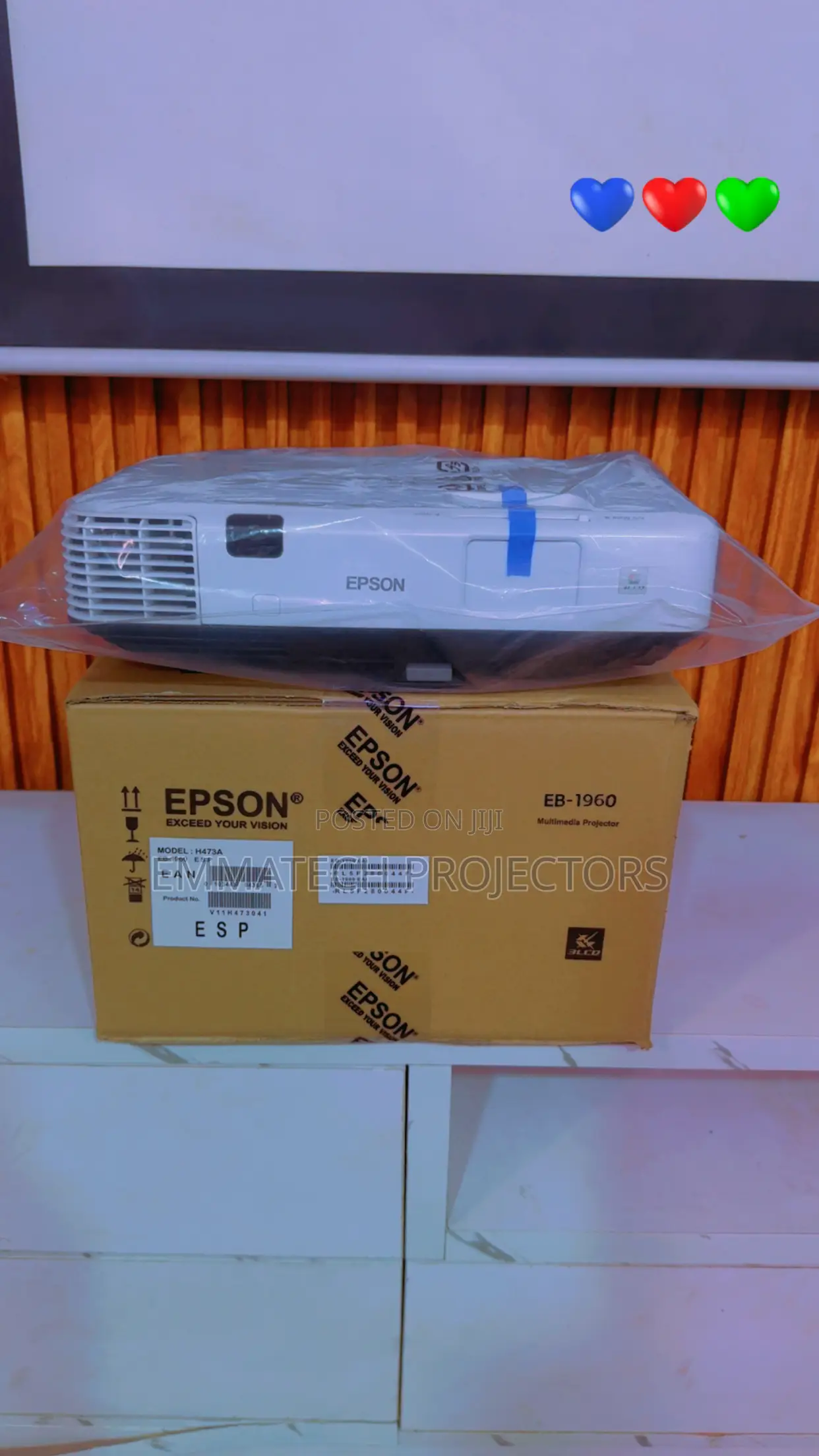 Epson Projector 1960