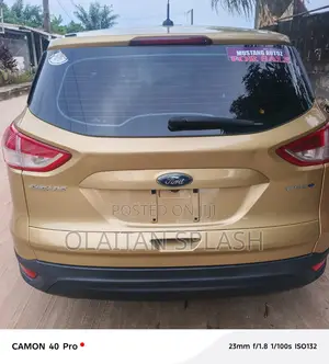 Ford Escape 2014 Gold