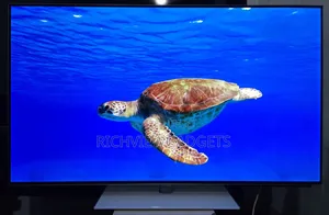 Very Clean Uk Used Lg Oled 55" Uhd Smart Tv With Stand/Magic Remote