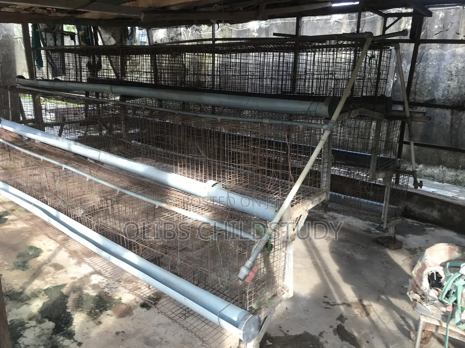 Battery Cage