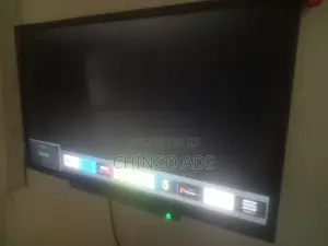 Television