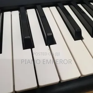 Yamaha PSR-S650 – Perfect for Church, Studio Live Performance