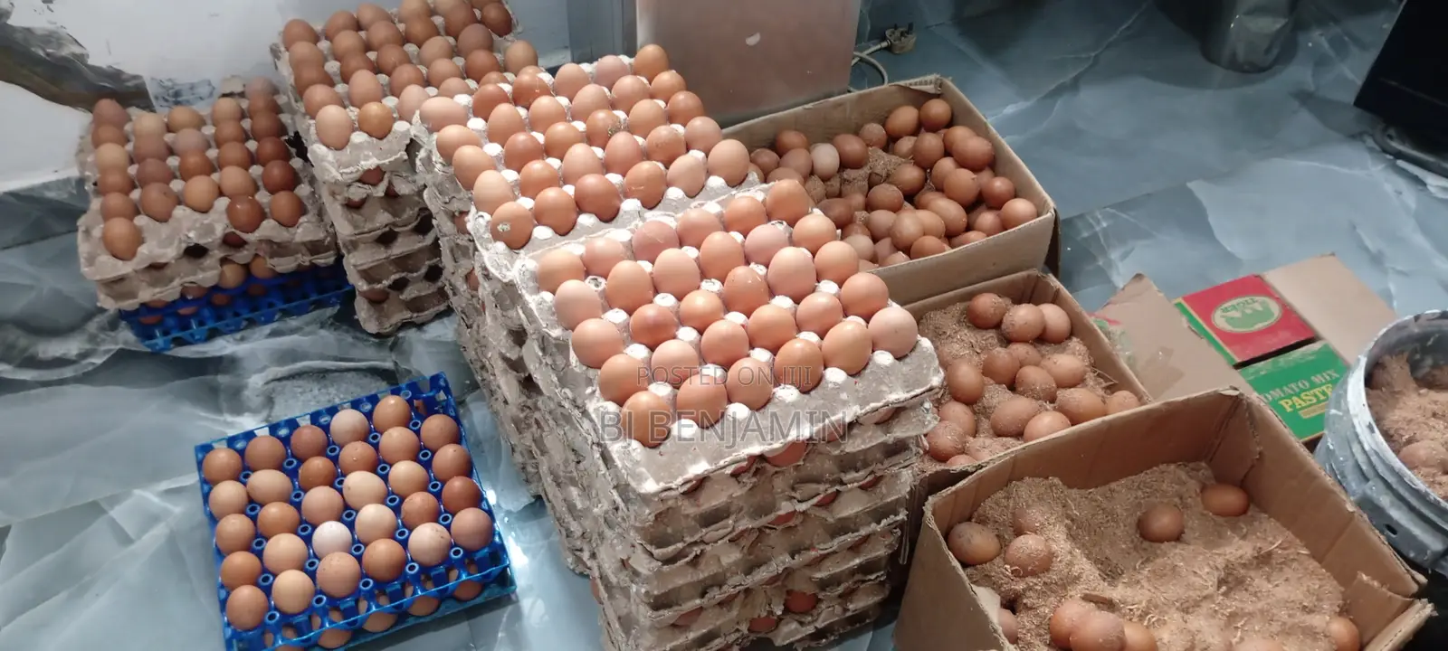 Fresh Farm Eggs