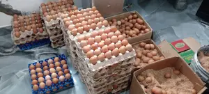 Fresh Farm Eggs