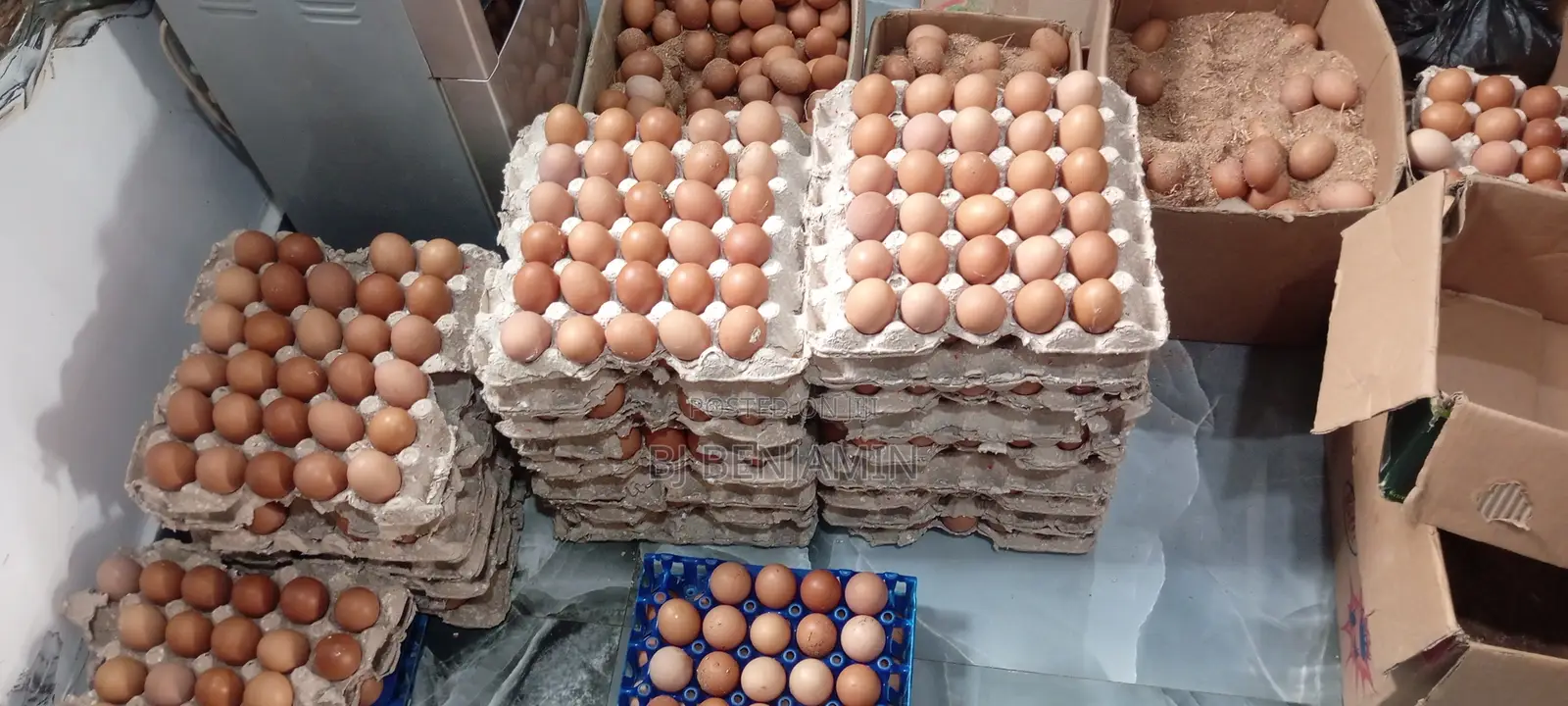 Fresh Farm Eggs