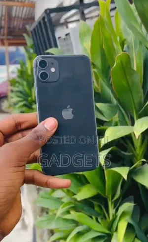 Apple iPhone 11 256 GB Black