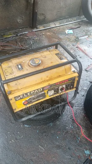 Home Use Gen for Sale