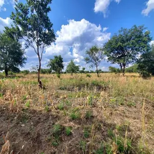 Buy and Build Land in Estate in Etche