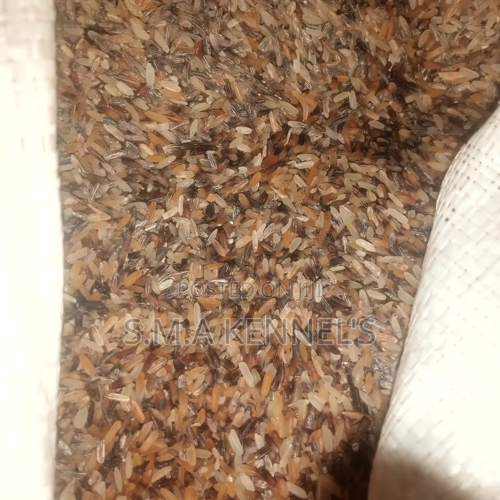 50kg Brown Rice for Dog's