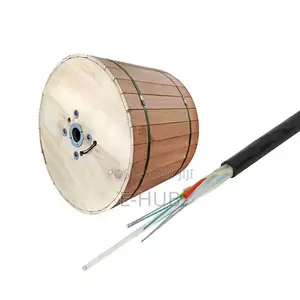 4 Core Outdoor Single Mode Fiber Optic Cable Gyxtw