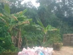 Land for Sale. At Jeddo, Warri