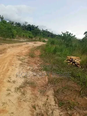 Buy and Build in Estate in Etche Rivers State