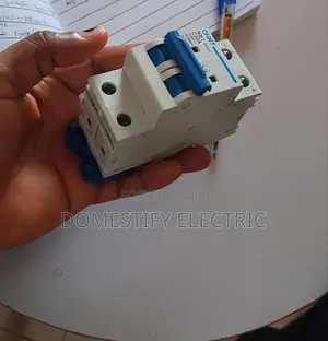 Chint Nbx-63 C63 Double Pole Miniature Circuit Breaker (Mcb)