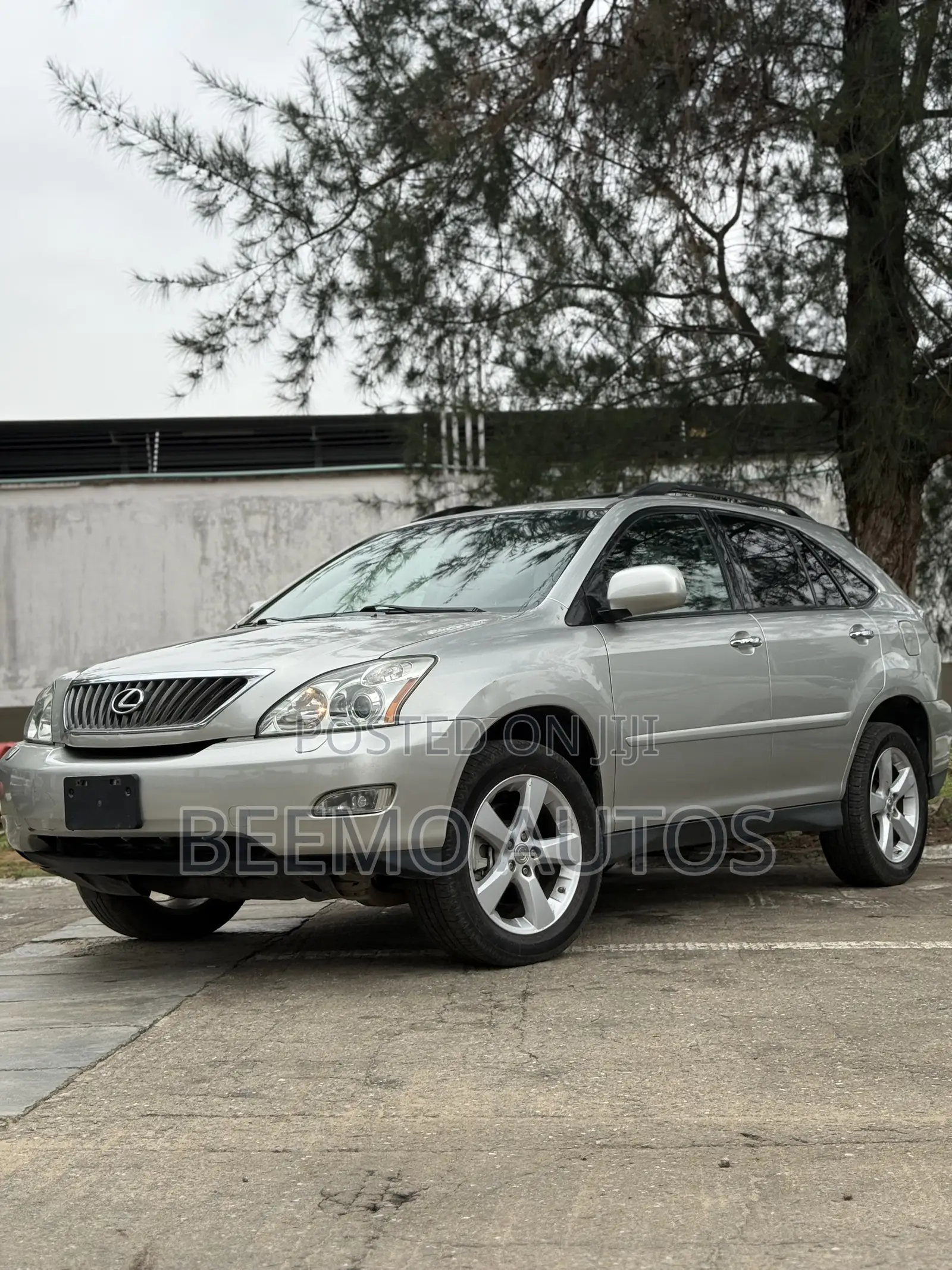 Lexus RX 2008 Silver