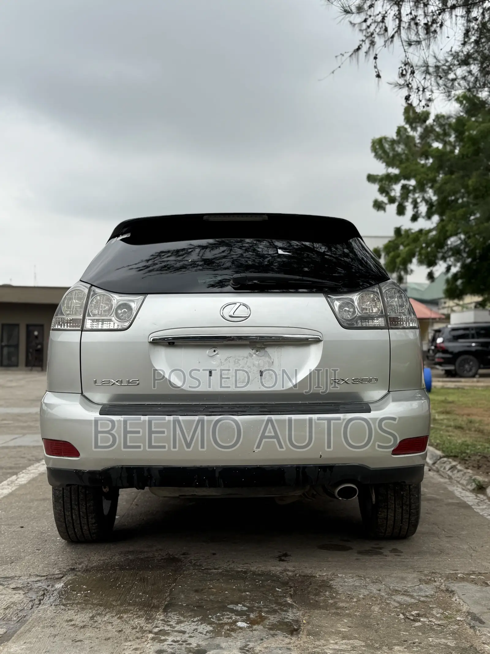 Lexus RX 2008 Silver