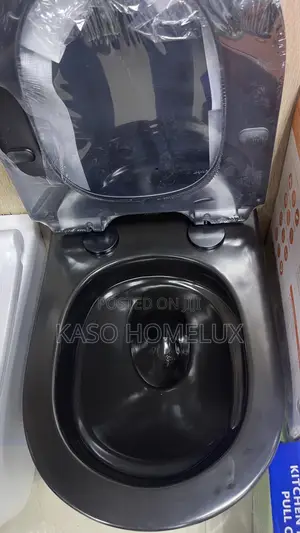 Black Conceal Wall Hung Wc