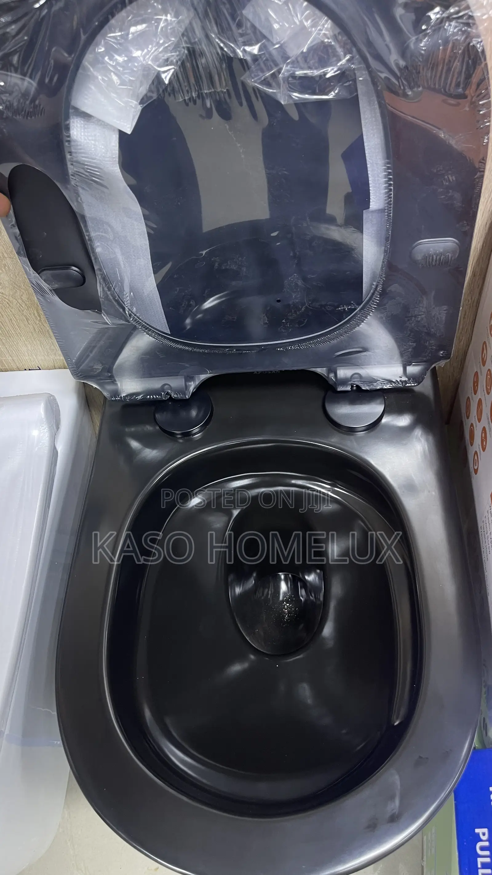 Black Conceal Wall Hung Wc