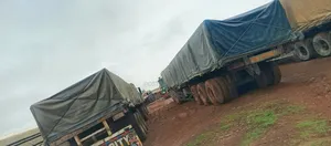 Major Distributor of Dangote and Boa Cement