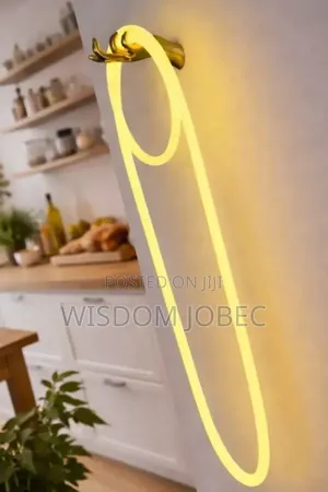 Led Wall Lamp White and Warm White Light