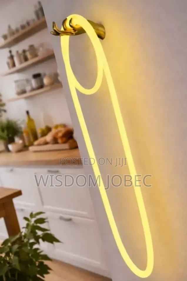 Led Wall Lamp White and Warm White Light