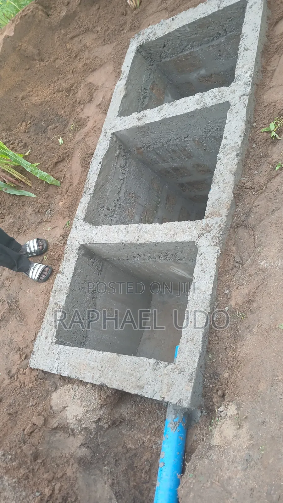 Biodigester and Biogas System