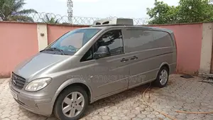 Mercedes-Benz V-Class 2009 Gray
