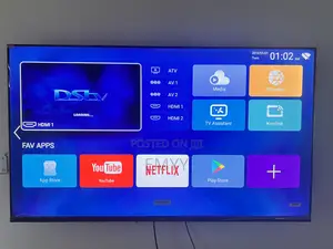 Television