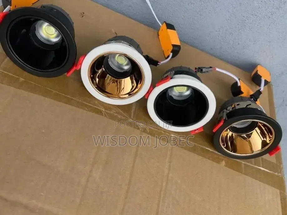 Recessed Led Cob Downlights With Adjustable Spotlight