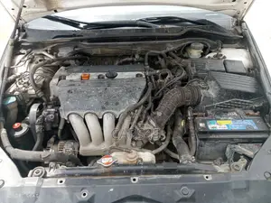 Honda Accord 2004 White