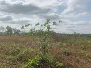 28 Acres of Land at Saki-Ogbooro Express Way, Saki East Lg, Oyo State