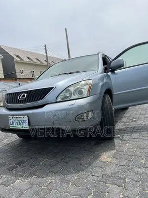 Lexus RX 2007 Gray