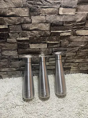 Insulated Bottle