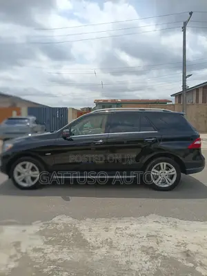 Mercedes-Benz M Class 2013 Black