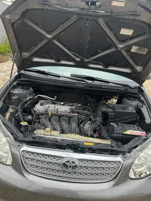 Toyota Corolla 2006 Gray
