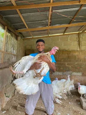Foreign Turkey