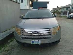 Ford Edge 2007 Silver