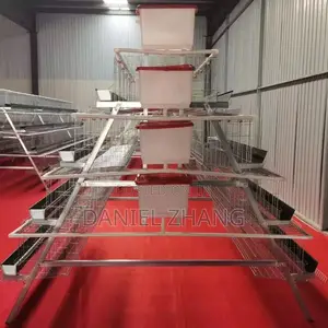 A Type Import Battery Cage