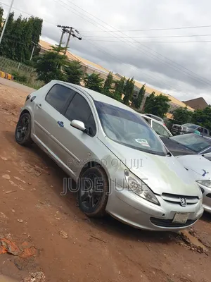 Peugeot 307 2007 Gray