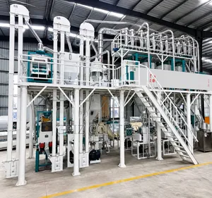 Complete Corn Flour Milling Plant Set Up and Installation