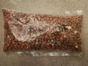 Apricot Kernel
