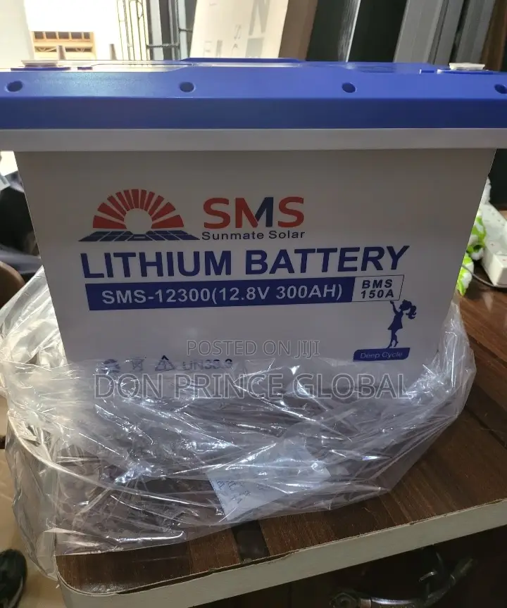 SMS 300w 12v Lithium Ion Batteries