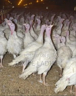 Bimlad Farms