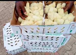 Bimlad Farms