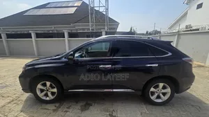 Lexus RX 2010 Blue