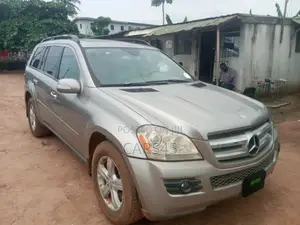 Mercedes-Benz GL-Class GL 450 2007 Gray