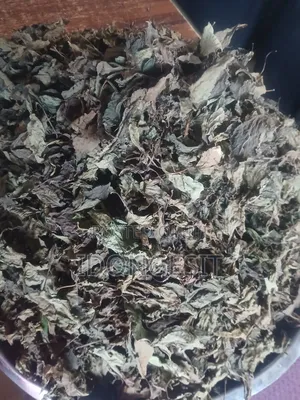 Scent Leaves