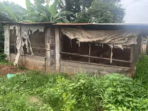 Poultry Farm for Sale in Enugu