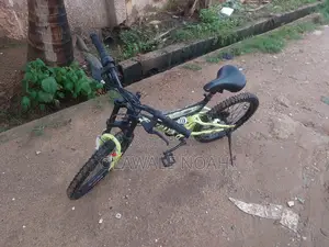 Bicycle Children