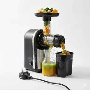 Electric Cold Press Slow Juicer Masticating Juice Extractor