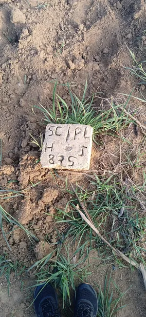 4 Plots at Shen Jos South